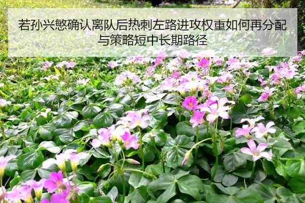 ruo-sun-xing-min-que-ren-li-dui-hou-re-ci-zuo-lu-jin-gong-quan-zhong-ru-he-zai-fen-pei-yu-ce-lve-duan-zhong-chang-qi-lu-2-706.jpg