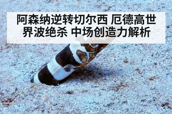 阿森纳逆转切尔西 厄德高世界波绝杀 中场创造力解析