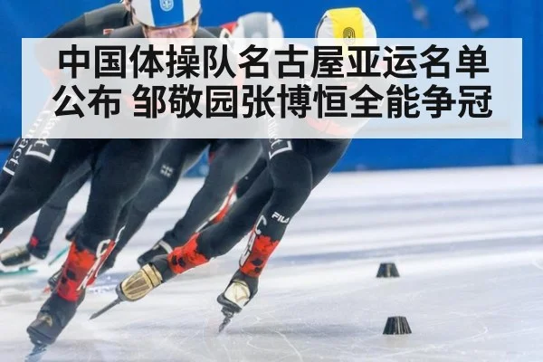 中国体操队名古屋亚运名单公布 邹敬园张博恒全能争冠